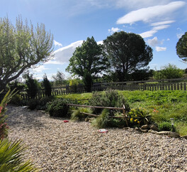 EN PROVENCE VISAN. 15 HECT VIGNES. TRUFFIERS. OLIVIERS. MAS 267 m2  MODULABLE. DEPENDANCES.PUITS.