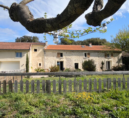 Miniature de l'image 3
