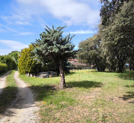 EN PROVENCE VISAN. 15 HECT VIGNES. TRUFFIERS. OLIVIERS. MAS 267 m2  MODULABLE. DEPENDANCES.PUITS.