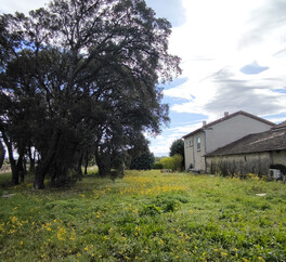 EN PROVENCE VISAN. 15 HECT VIGNES. TRUFFIERS. OLIVIERS. MAS 267 m2  MODULABLE. DEPENDANCES.PUITS.