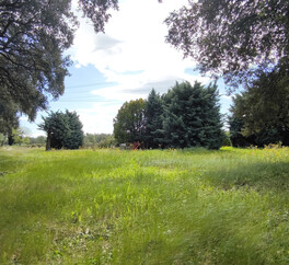 EN PROVENCE VISAN. 15 HECT VIGNES. TRUFFIERS. OLIVIERS. MAS 267 m2  MODULABLE. DEPENDANCES.PUITS.
