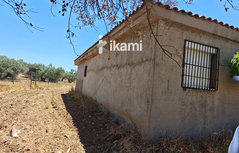 Casa de 180m2 en finca agrícola de de 5.6 HA. en Calypo, Toledo