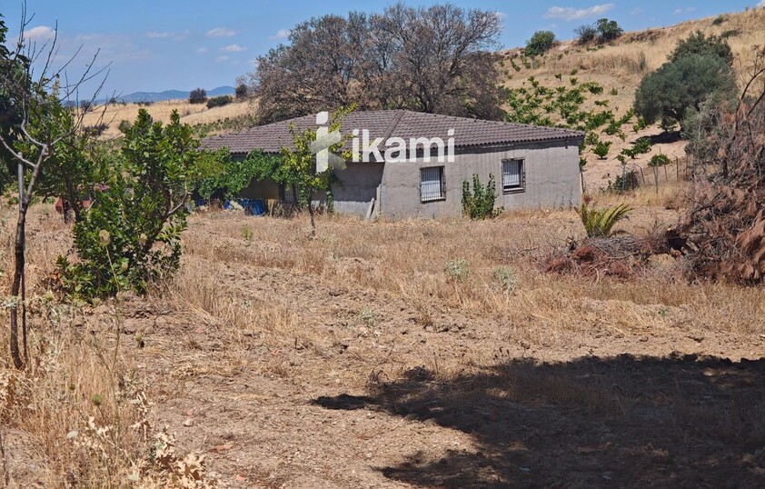 Casa de 180m2 en finca agrícola de de 5.6 HA. en Calypo, Toledo