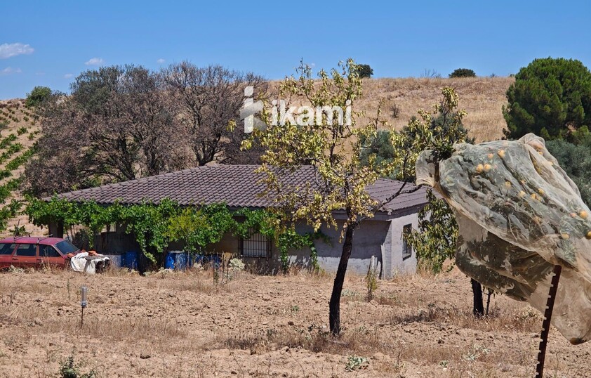 Casa de 180m2 en finca agrícola de de 5.6 HA. en Calypo, Toledo