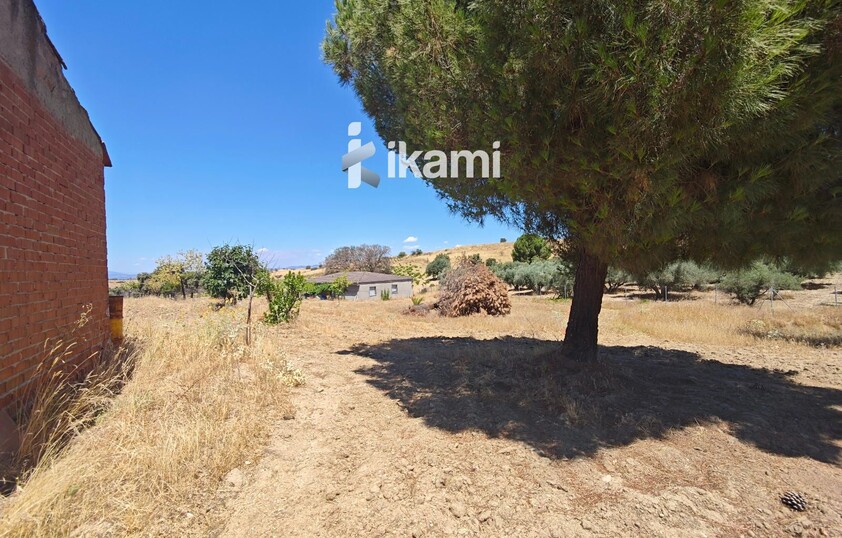 Casa de 180m2 en finca agrícola de de 5.6 HA. en Calypo, Toledo