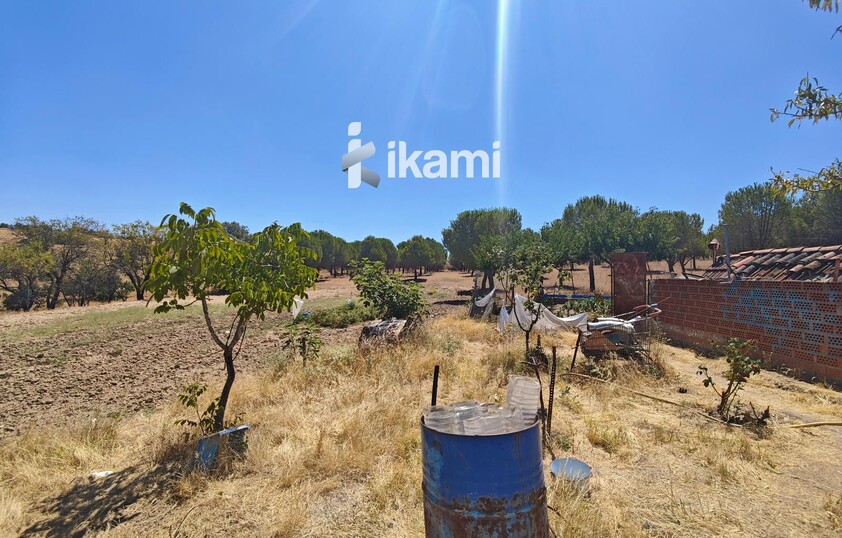 Casa de 180m2 en finca agrícola de de 5.6 HA. en Calypo, Toledo