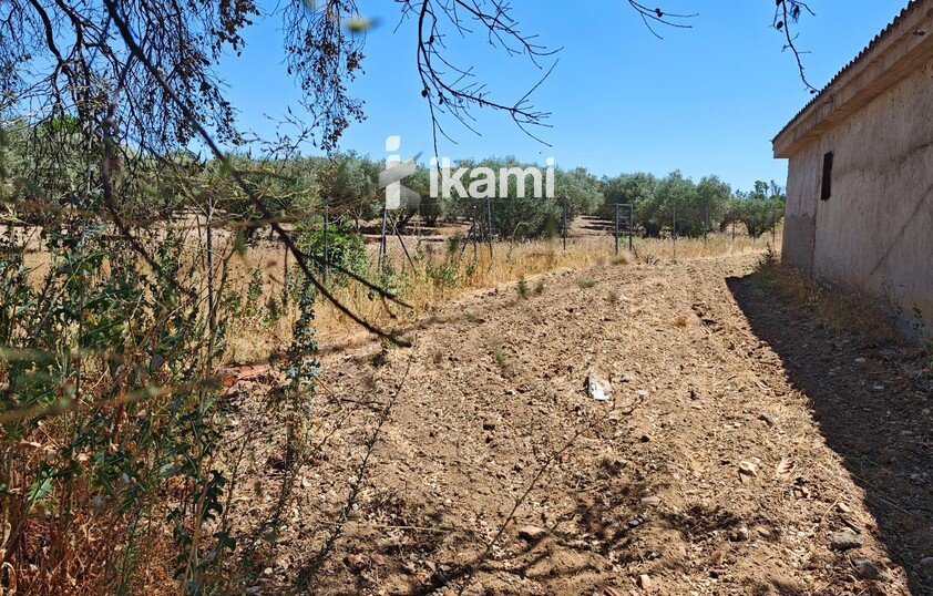 Casa de 180m2 en finca agrícola de de 5.6 HA. en Calypo, Toledo