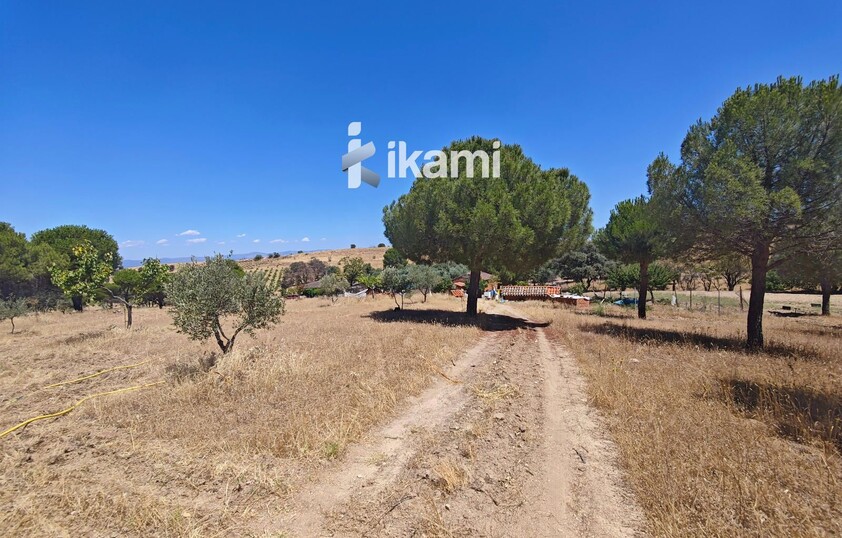 Casa de 180m2 en finca agrícola de de 5.6 HA. en Calypo, Toledo