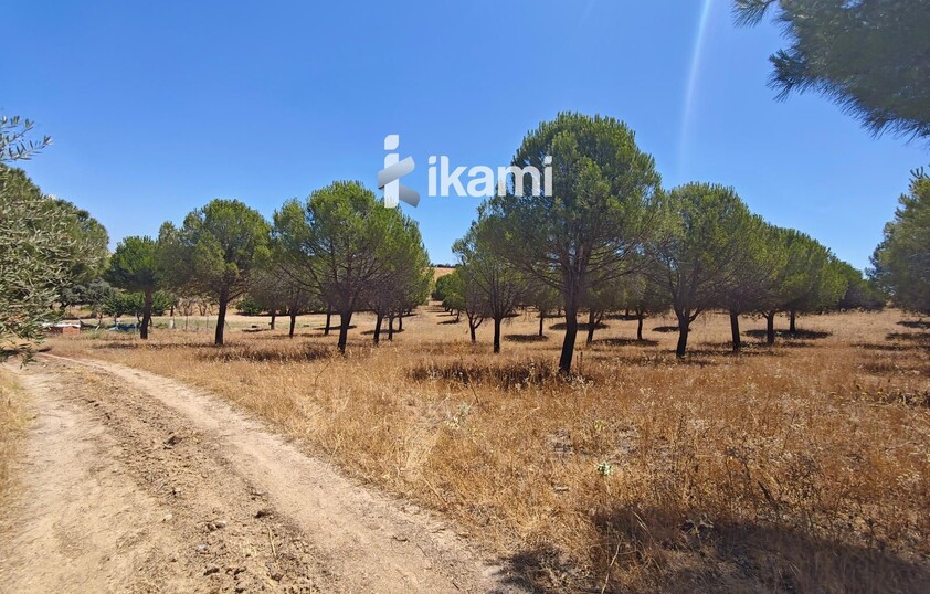 Casa de 180m2 en finca agrícola de de 5.6 HA. en Calypo, Toledo