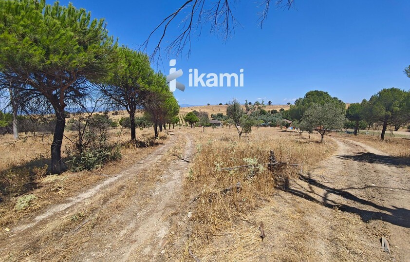 Casa de 180m2 en finca agrícola de de 5.6 HA. en Calypo, Toledo