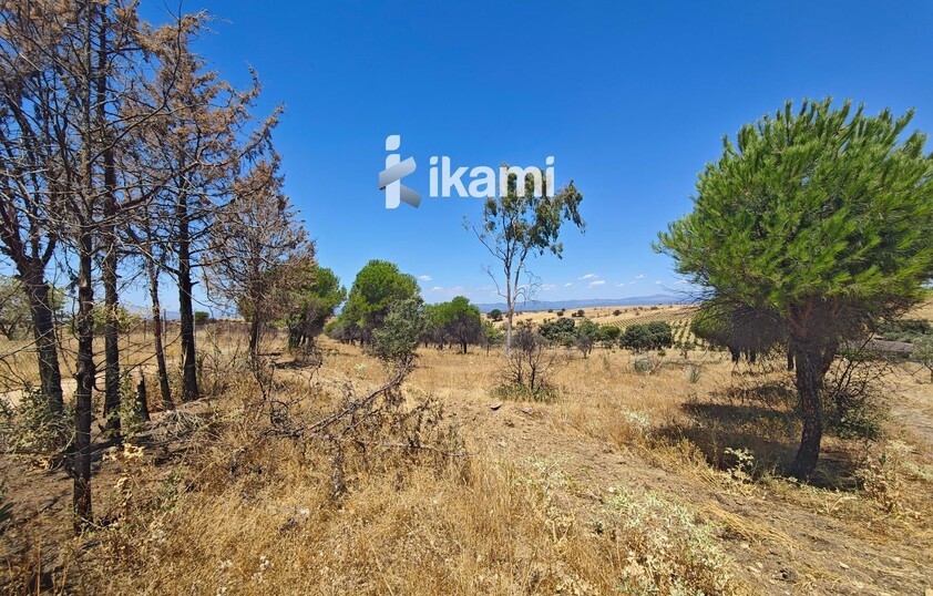 Casa de 180m2 en finca agrícola de de 5.6 HA. en Calypo, Toledo