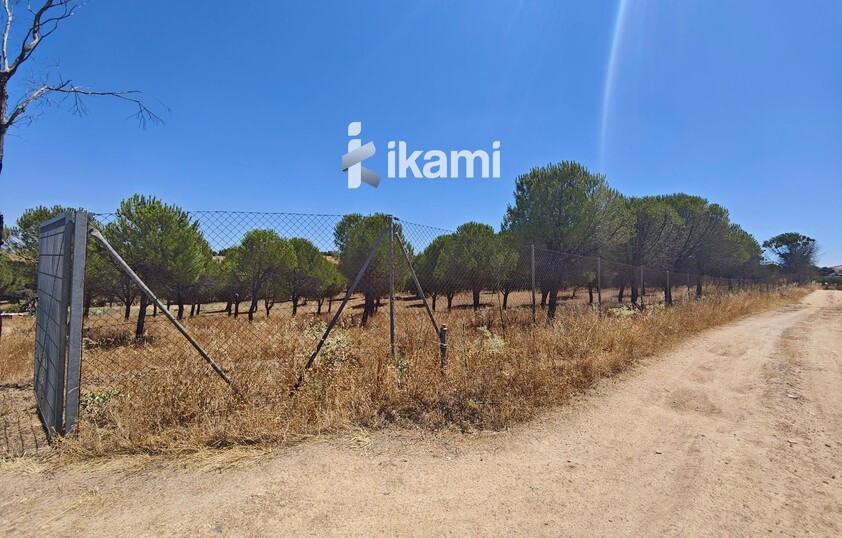 Casa de 180m2 en finca agrícola de de 5.6 HA. en Calypo, Toledo