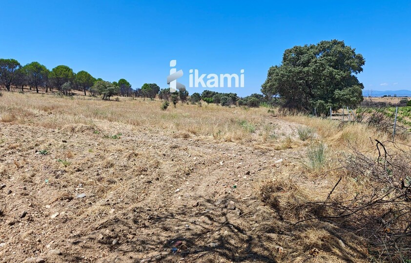 Casa de 180m2 en finca agrícola de de 5.6 HA. en Calypo, Toledo