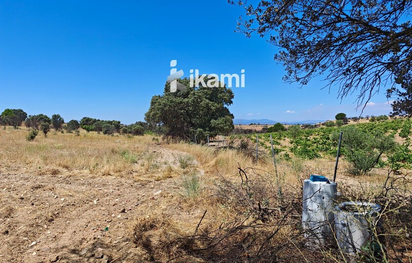 Casa de 180m2 en finca agrícola de de 5.6 HA. en Calypo, Toledo