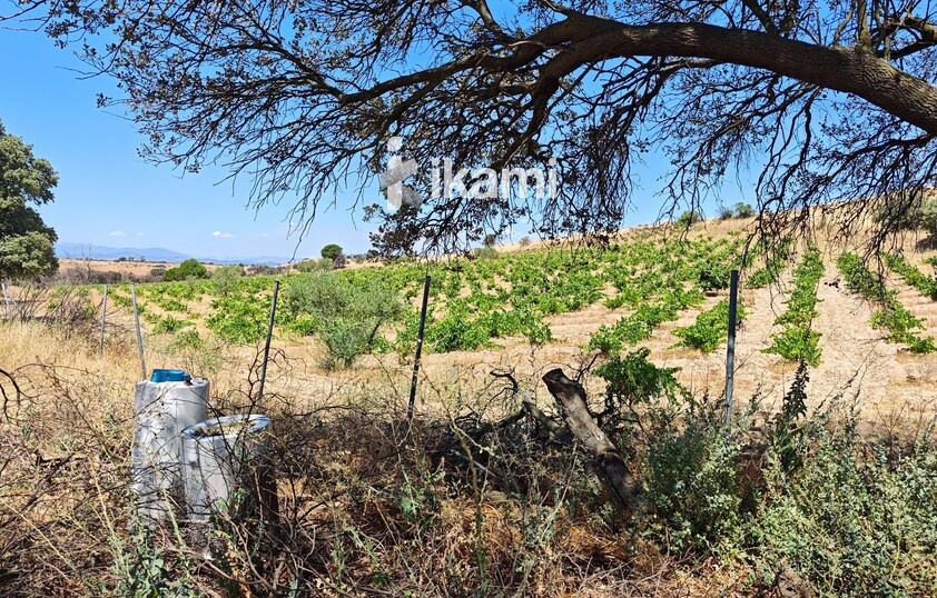 Casa de 180m2 en finca agrícola de de 5.6 HA. en Calypo, Toledo