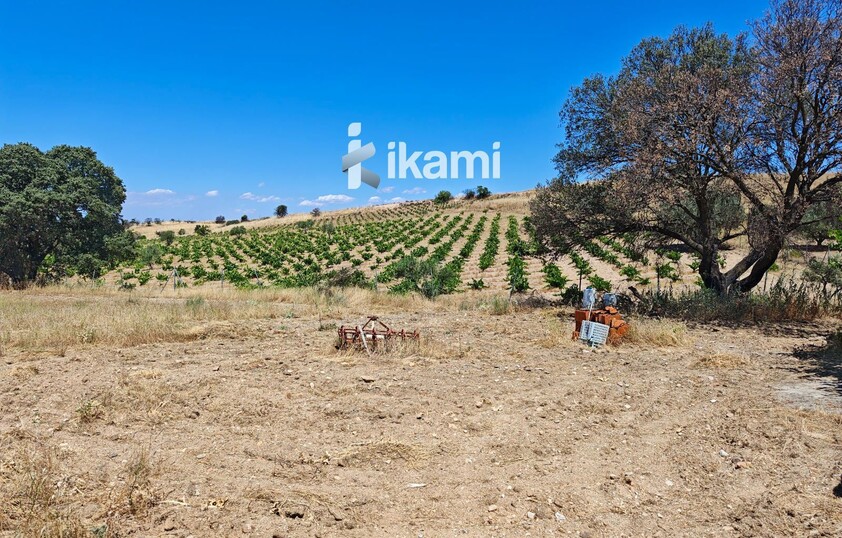 Casa de 180m2 en finca agrícola de de 5.6 HA. en Calypo, Toledo