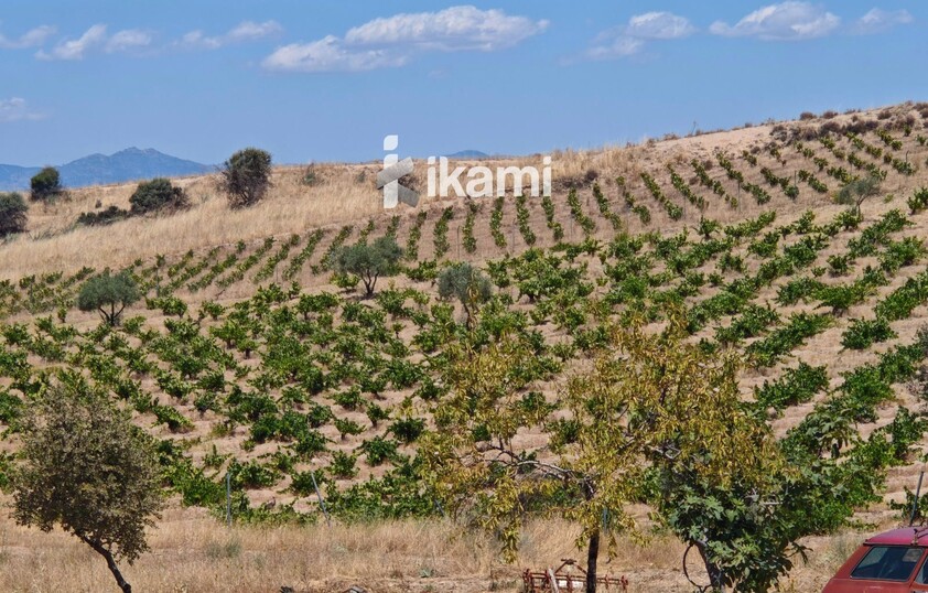 Casa de 180m2 en finca agrícola de de 5.6 HA. en Calypo, Toledo