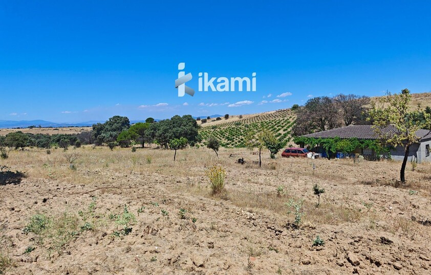 Casa de 180m2 en finca agrícola de de 5.6 HA. en Calypo, Toledo