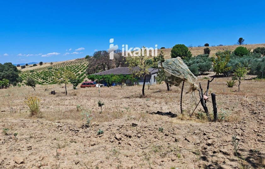 Casa de 180m2 en finca agrícola de de 5.6 HA. en Calypo, Toledo
