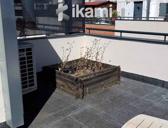 Oficina en alquiler con terraza