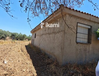 Casa de 180m2 en finca agrícola de de 5.6 HA. en Calypo, Toledo