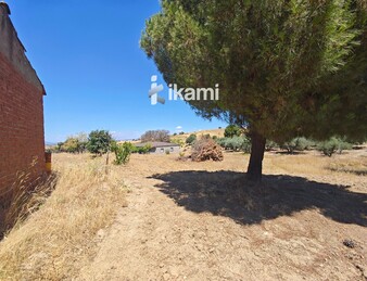 Casa de 180m2 en finca agrícola de de 5.6 HA. en Calypo, Toledo