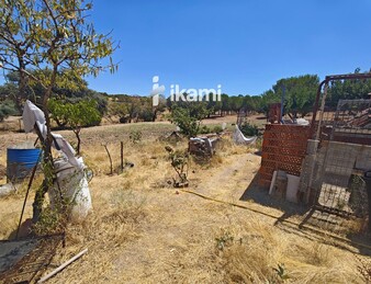 Casa de 180m2 en finca agrícola de de 5.6 HA. en Calypo, Toledo