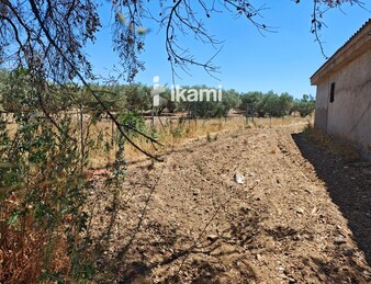 Casa de 180m2 en finca agrícola de de 5.6 HA. en Calypo, Toledo