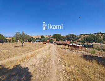 Casa de 180m2 en finca agrícola de de 5.6 HA. en Calypo, Toledo