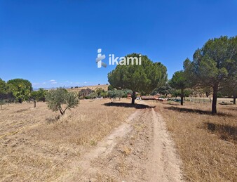 Casa de 180m2 en finca agrícola de de 5.6 HA. en Calypo, Toledo