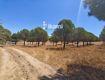 Casa de 180m2 en finca agrícola de de 5.6 HA. en Calypo, Toledo