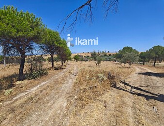 Casa de 180m2 en finca agrícola de de 5.6 HA. en Calypo, Toledo