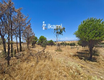 Casa de 180m2 en finca agrícola de de 5.6 HA. en Calypo, Toledo