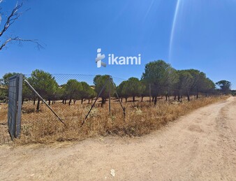 Casa de 180m2 en finca agrícola de de 5.6 HA. en Calypo, Toledo