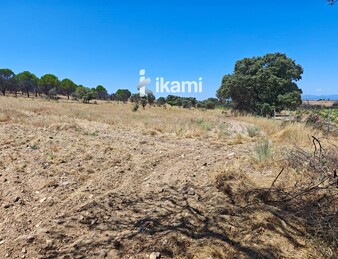 Casa de 180m2 en finca agrícola de de 5.6 HA. en Calypo, Toledo