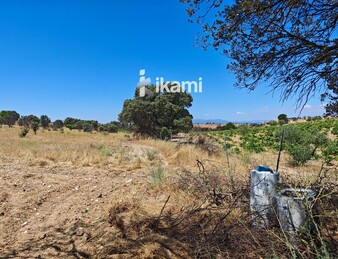 Casa de 180m2 en finca agrícola de de 5.6 HA. en Calypo, Toledo