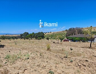 Casa de 180m2 en finca agrícola de de 5.6 HA. en Calypo, Toledo