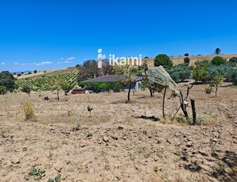 Casa de 180m2 en finca agrícola de de 5.6 HA. en Calypo, Toledo