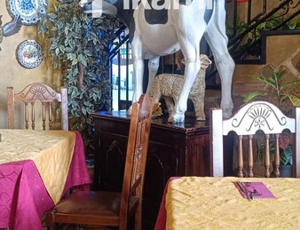 RESTAURANTE DE 504m2 EN CARABANCHEL ALTO