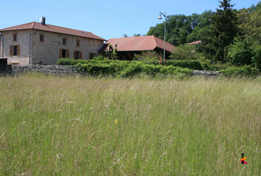 Terrain - 325m² St lattier - 38840
