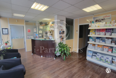 Local Professionnel - 250m² Lyon - 69002