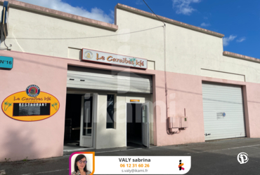 Local Professionnel - 340m² Concarneau - 29900