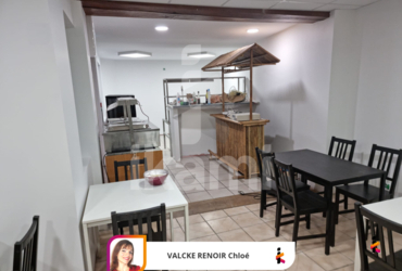Immeuble - 387m² St etienne de st geoirs - 38590