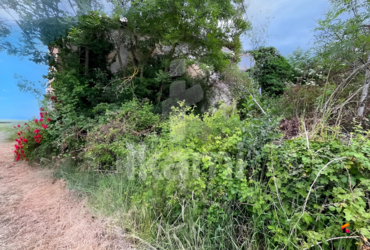 Terrain à Batir - 4100m² Chateauneuf de galaure - 26330